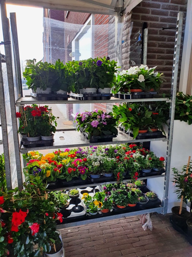 Kraam met tuinplanten voor de winkel