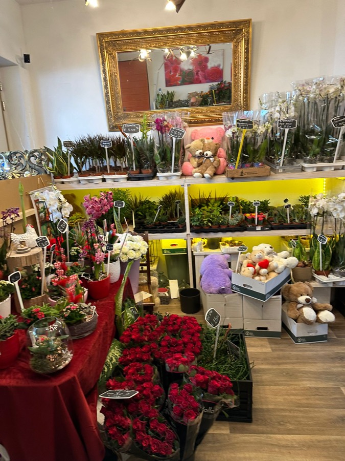 Rode rozen en kerststerren in de winkel