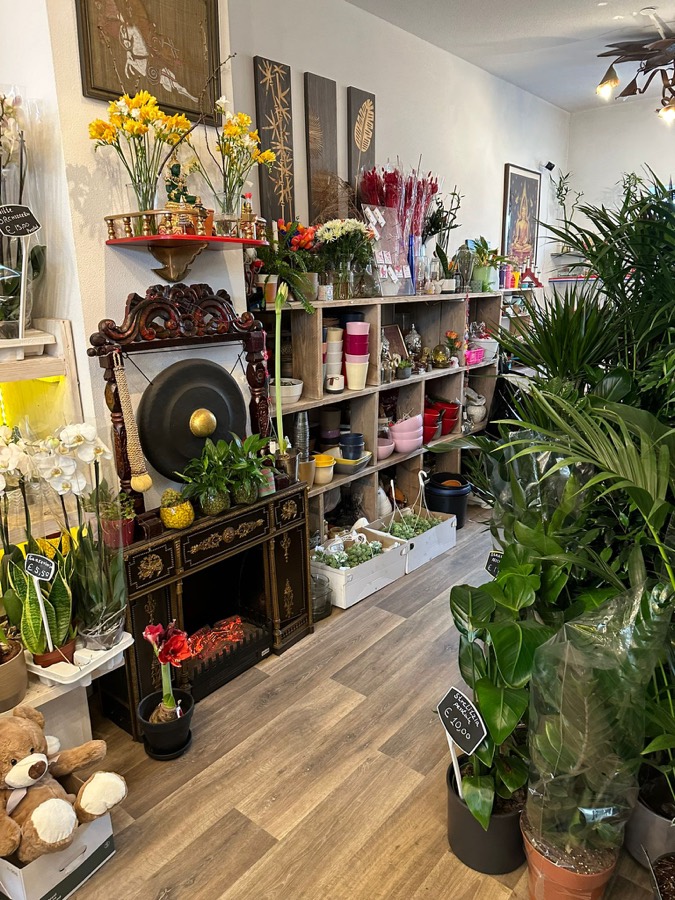 Winkelinterieur met planten, potten en decoratie